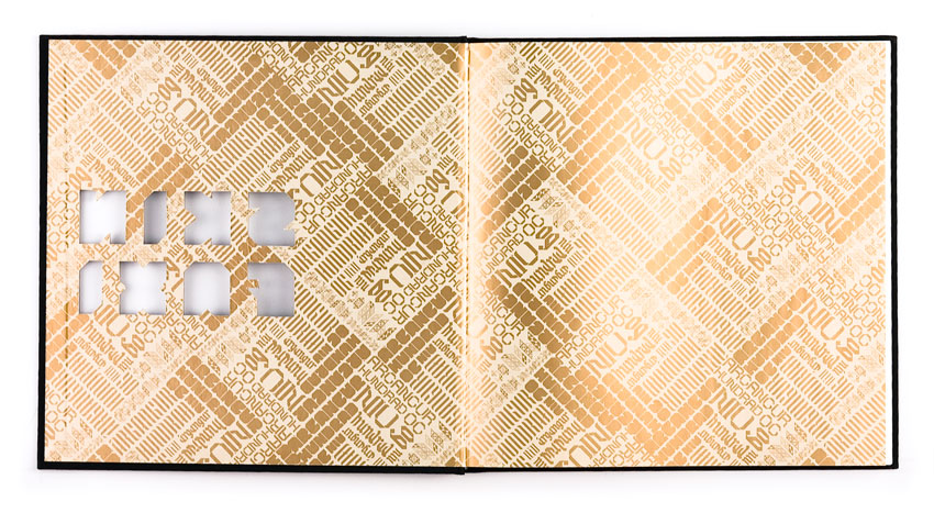 Skinfaxi Flyleaf